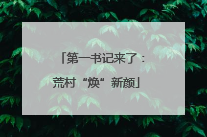 第一书记来了：荒村“焕”新颜