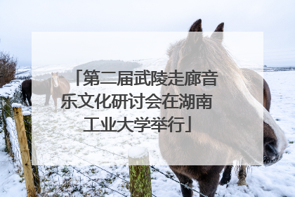 第二届武陵走廊音乐文化研讨会在湖南工业大学举行