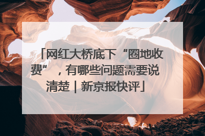 网红大桥底下“圈地收费”，有哪些问题需要说清楚｜新京报快评
