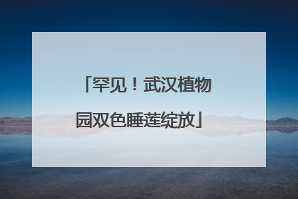 罕见！武汉植物园双色睡莲绽放