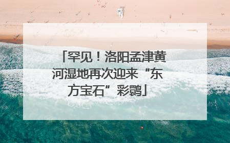 罕见！洛阳孟津黄河湿地再次迎来“东方宝石”彩鹮