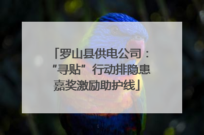 罗山县供电公司：“寻贴”行动排隐患 嘉奖激励助护线