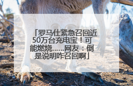 罗马仕紧急召回近50万台充电宝！可能燃烧……网友：倒是说明咋召回啊