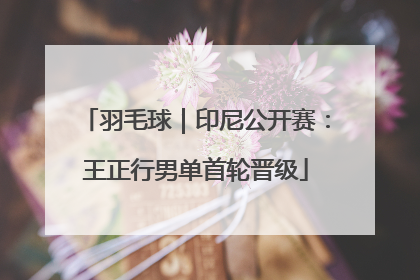 羽毛球｜印尼公开赛：王正行男单首轮晋级