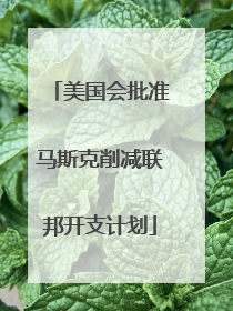 美国会批准马斯克削减联邦开支计划