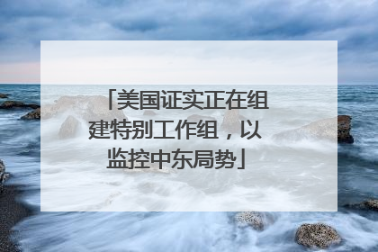 美国证实正在组建特别工作组，以监控中东局势