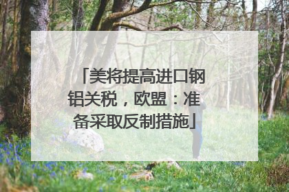 美将提高进口钢铝关税，欧盟：准备采取反制措施