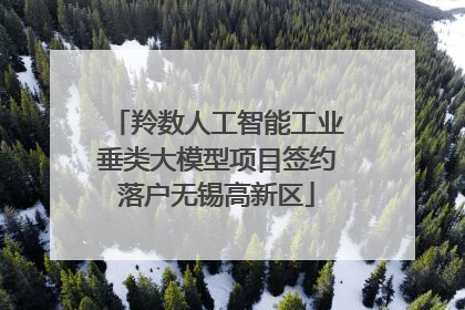 羚数人工智能工业垂类大模型项目签约落户无锡高新区