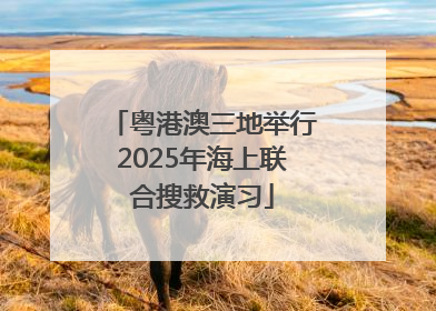 粤港澳三地举行2025年海上联合搜救演习