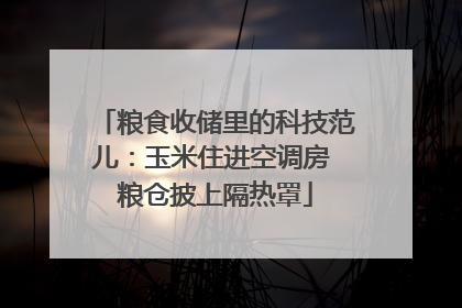 粮食收储里的科技范儿：玉米住进空调房 粮仓披上隔热罩