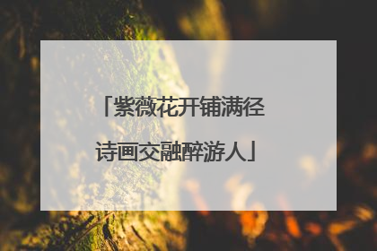 紫薇花开铺满径 诗画交融醉游人