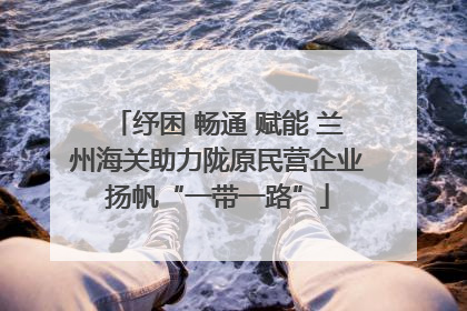 纾困 畅通 赋能 兰州海关助力陇原民营企业扬帆“一带一路”