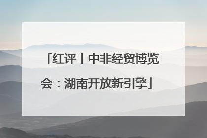 红评丨中非经贸博览会：湖南开放新引擎