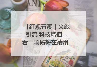 红观五溪｜文旅引流 科技增值 看一颗杨梅在靖州的“商业觉醒”