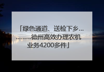 绿色通道、送检下乡…………德州高效办理农机业务4200多件