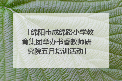 绵阳市成绵路小学教育集团举办书香教师研究院五月培训活动