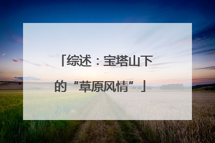 综述：宝塔山下的“草原风情”