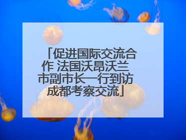 促进国际交流合作 法国沃昂沃兰市副市长一行到访成都考察交流