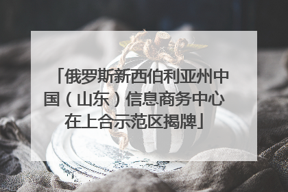 俄罗斯新西伯利亚州中国（山东）信息商务中心在上合示范区揭牌