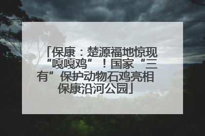 保康：楚源福地惊现“嘎嘎鸡”！国家“三有”保护动物石鸡亮相保康沿河公园