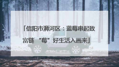 信阳市浉河区：蓝莓串起致富链 “莓”好生活入画来