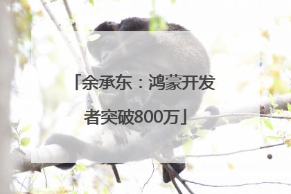 余承东：鸿蒙开发者突破800万