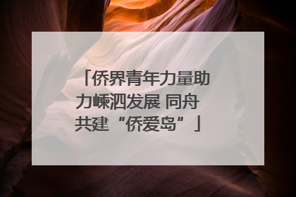 侨界青年力量助力嵊泗发展 同舟共建“侨爱岛”