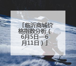 临沂商城价格指数分析（6月5日—6月11日）