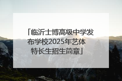 临沂士博高级中学发布学校2025年艺体特长生招生简章