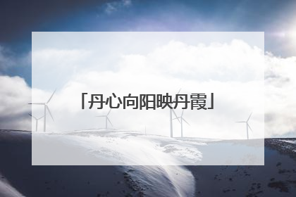 丹心向阳映丹霞