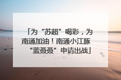 为“苏超”喝彩，为南通加油！南通小江豚“蓝叒叒”申请出战