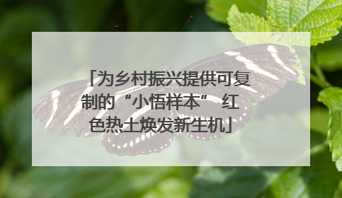 为乡村振兴提供可复制的“小悟样本” 红色热土焕发新生机