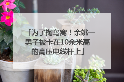为了掏鸟窝！余姚一男子被卡在10余米高的高压电线杆上