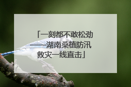 一刻都不敢松劲——湖南桑植防汛救灾一线直击