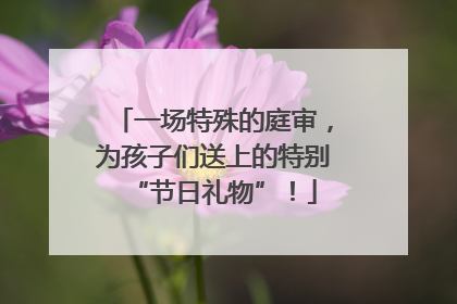一场特殊的庭审，为孩子们送上的特别“节日礼物”！