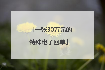 一张30万元的特殊电子回单