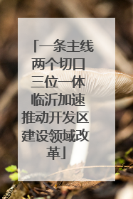 一条主线 两个切口 三位一体 临沂加速推动开发区建设领域改革