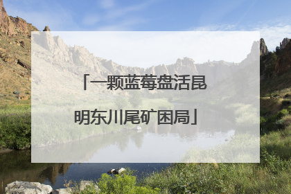 一颗蓝莓盘活昆明东川尾矿困局