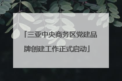 三亚中央商务区党建品牌创建工作正式启动