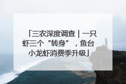三农深度调查｜一只虾三个“转身”，鱼台小龙虾消费季升级