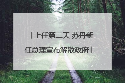 上任第二天 苏丹新任总理宣布解散政府
