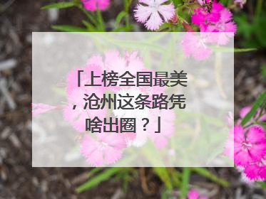 上榜全国最美，沧州这条路凭啥出圈？
