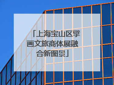 上海宝山区擘画文旅商体展融合新图景