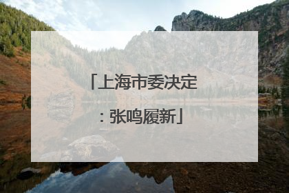 上海市委决定：张鸣履新