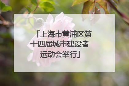 上海市黄浦区第十四届城市建设者运动会举行