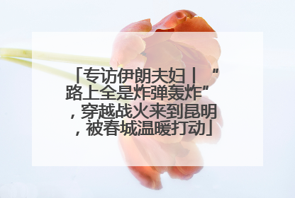专访伊朗夫妇丨“路上全是炸弹轰炸”，穿越战火来到昆明，被春城温暖打动