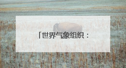 世界气象组织：五年内大概率再迎“最暖年份”