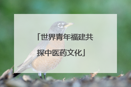 世界青年福建共探中医药文化