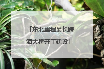 东北里程最长跨海大桥开工建设