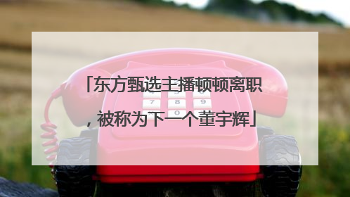 东方甄选主播顿顿离职，被称为下一个董宇辉